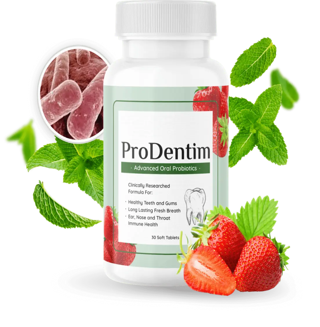 prodentim supplement
